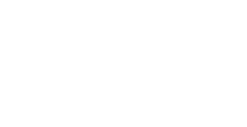 Cecilie Sørgård Art